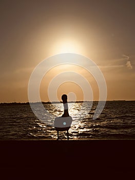 A pelican sits on the boardwalk in sunny Progresso, Mexico